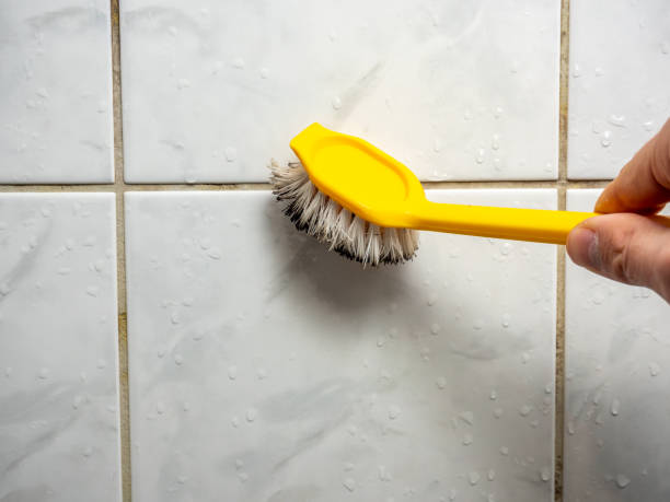French Island, WI Mold Removal Company