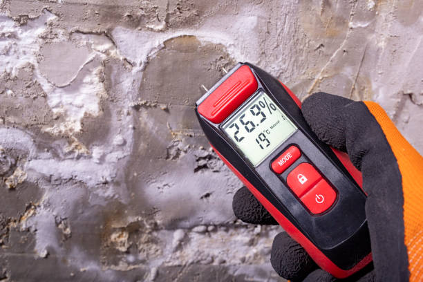 Best Mold Testing  in French Island, WI