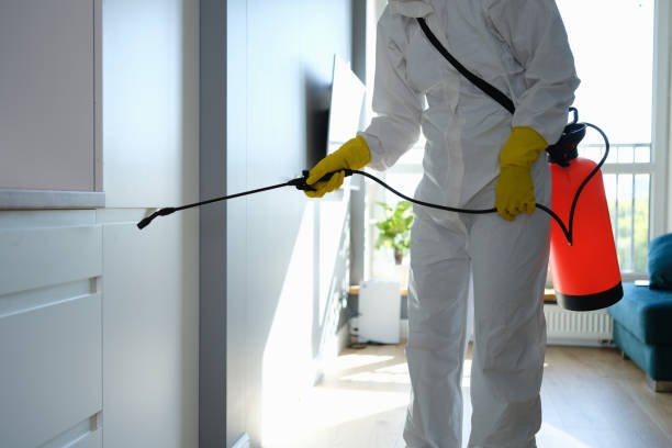 Attic Mold Removal in French Island, WI