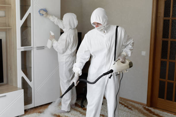 Best Crawl Space Mold Removal  in French Island, WI