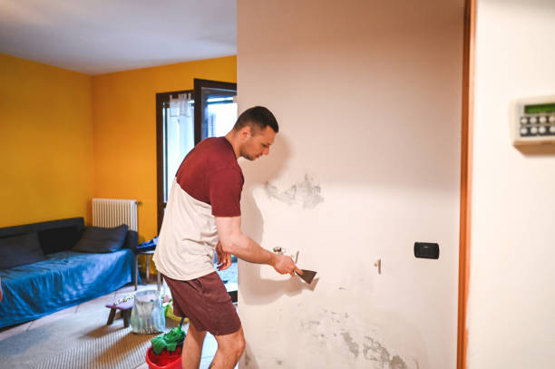 Best Mold Damage Repair  in French Island, WI